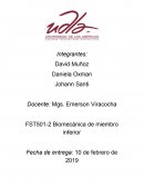 Analsis articulo miembro inferior