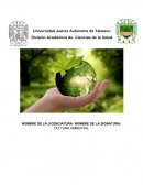 Cuadro comparativo de cultura ambiental