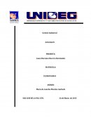 GESTION INDUSTRIAL Actividad