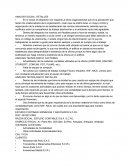 ESTUDIO CONTABLE SISNIEGAS Y ASOCIADOS S.C.R.L