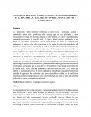 ENTREVISTAS REALIZADA A AGRICULTOR DE CACAO (Theobroma cacao L.) EN LA FINCA BELLA VISTA, UBICADA ENTRE LA VÍA VALLEDUPAR – PUEBLO BELLO