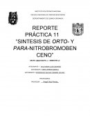 PRÁCTICA 11 “SINTESIS DE ORTO- Y PARA-NITROBROMOBENCENO