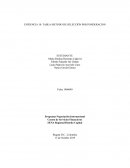 Tomate de árbol tamarillo (Solanum betaceum)