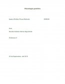 La brújula de bienestar