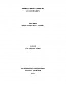 TRABAJO DE MICROECONOMETRÍA (REGRESIÓN LOGIT)