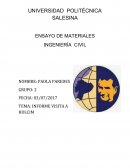 INFORME VISITA A HOLCIM