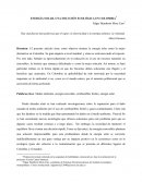 ENERGÍA SOLAR, UNA SOLUCIÒN ECOLÓGICA EN COLOMBIA[
