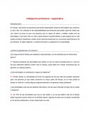 Inteligencia profesional - organizativa