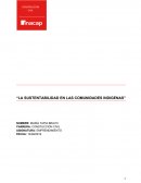 La sustentabilidad en las comunidades indigenas