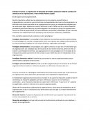 La organización en búsqueda del sentido: producción material y producción simbólica en las organizaciones