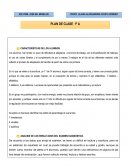 Plan individual primaria