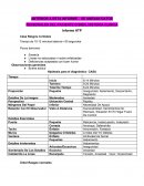 Informe HTP Casa Rasgos normales