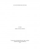 EL PLAN DE MERCADEO APLICADO