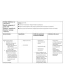 Unidad didáctica: La peluquería