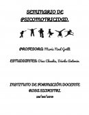 SEMINARIO DE PSICOMOTRICIDAD