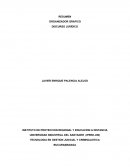 Resumen, organizador grafico y discurso juridico