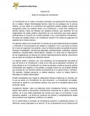 Capítulo 53. Concepto de constitución