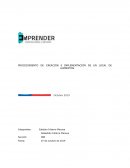 Procedimiento bizagi