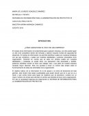 SISTEMAS DE INFORMACIÓN PARA LA ADMINISTRACIÓN DE PROYECTOS V2 CASO ELECTROLITOS PC