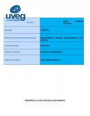 Desarrollando la filosofía Organizacional de una empresa