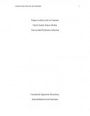 Etapas evolutivas del Ser Humano