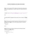 PROCESO DE DESARROLLO DEL CODIGO GAUSS JORDAN