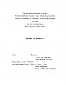 INFORME DE PASANTIAS