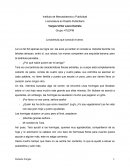 Cuento La tarántula que conoció el amor