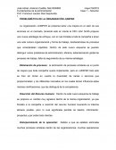 PROBLEMÁTICA DE LA ORGANIZACIÓN JUNIPER