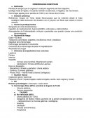 Hemorragias digestivas