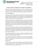En busca el fuego: descripción de las estrategias en la prehistoria