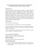 Produccion de colorante natural antocianina