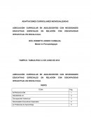 Adecuación curricular en adolescentes con necesidades educativas especiales en relación con discapacidad intelectual en discalculia