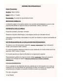 INFORME PSICOPEDAGÓGICO