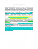 PRESUPUESTO DE CAPITAL EMPRESA HP