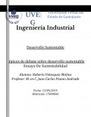 REFLEXION TEMAS DE SUSTENTABILIDAD