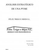 ANÁLISIS ESTRATÉGICO DE UNA PYME FÉLIX TRIGO E HIJOS S.L