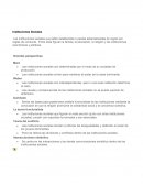 Instituciones Sociales . Grandes perspectivas