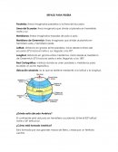 REPASO PARA PRUEBA Línea del Ecuador