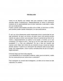 Minimonografia sobre el aborto