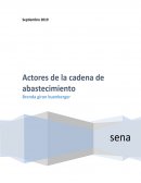 Procesos empresa: ALPINA