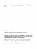 ANÁLISIS DEL MATRIMONIO ROMANO Y EL MATRIMONIO VENEZOLANO