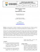 INFORME EQUIVALENTE DE ARENA