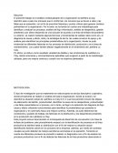 Analisis contextualizado de ladrillera la clay