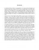 Ensayo sobre "Trabajo Infantil en Honduras"