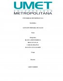 Ensayo Presentación de la Familia Lañape