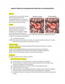 MARCO TEORICO INVAGINACION INTESTINAL