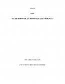 EL RETORNO DE LA DEMOCRACIA EN BOLIVIA