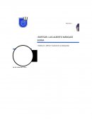 Ética y Medicina Sexual