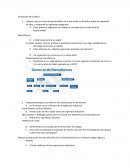 Evaluación Ingeneria Industrial